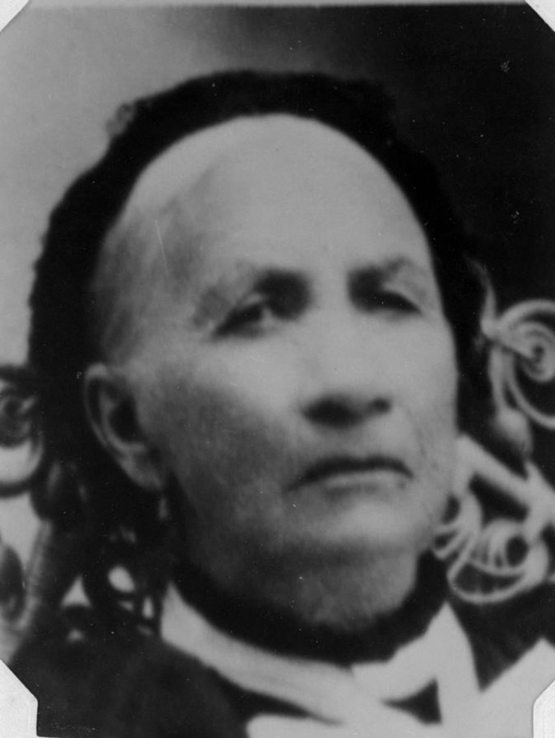 Bertha Catrina Torgersen (1824 - 1907) Profile